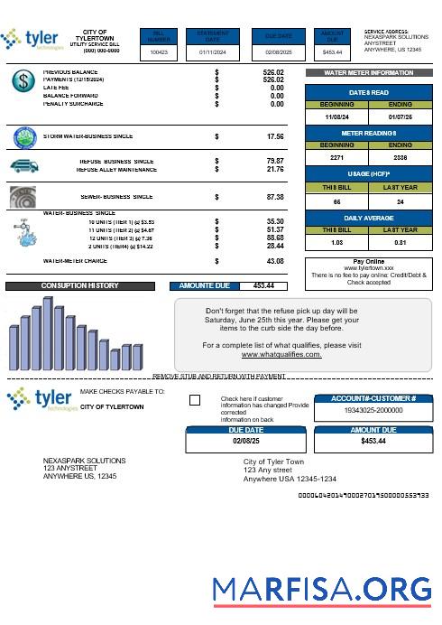 Realistic USA Tyler Technologies business utility bill template in Word and PDF formats
